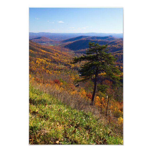 Impression Photo Automne dans le parc national de Shenandoah, Virgi (Devant)