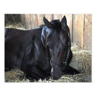 Impression Photo Automne de roche par Speightstown - Renda