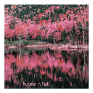 Impression Photo Automne en rose