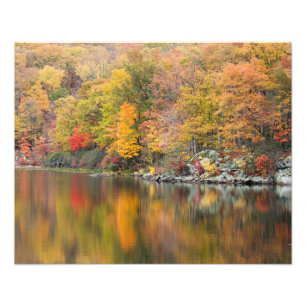 Impression Photo Automne nucléaire
