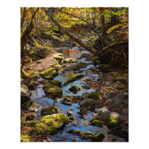 Impression Photo Automne près d'un ruisseau dans les montagnes Cats