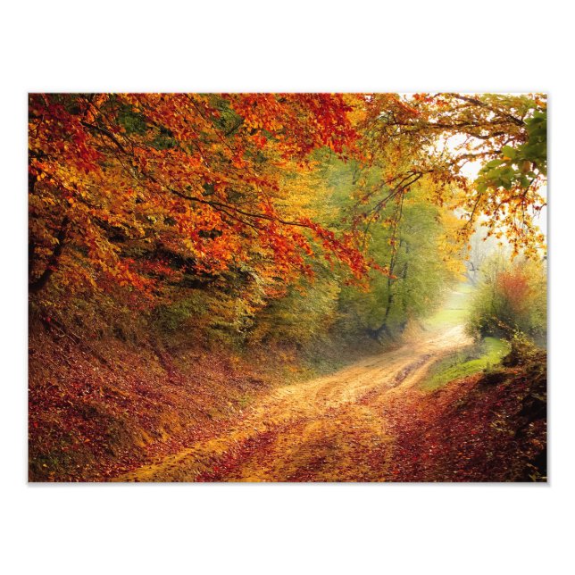 Impression Photo Autumn forest (Devant)