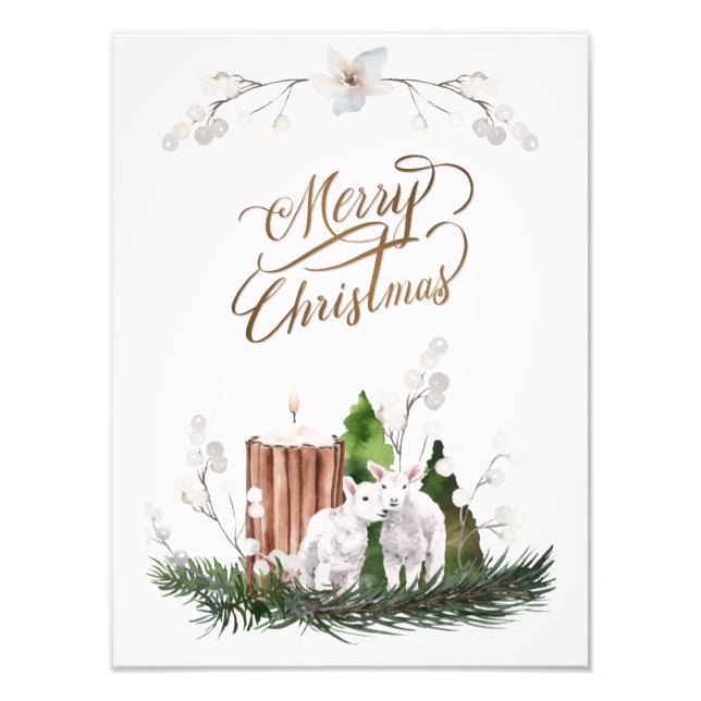Impression Photo Baby Lamb Pine Candle Noël (Devant)
