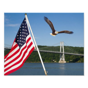 Impression Photo Bald Eagle (American Pride)