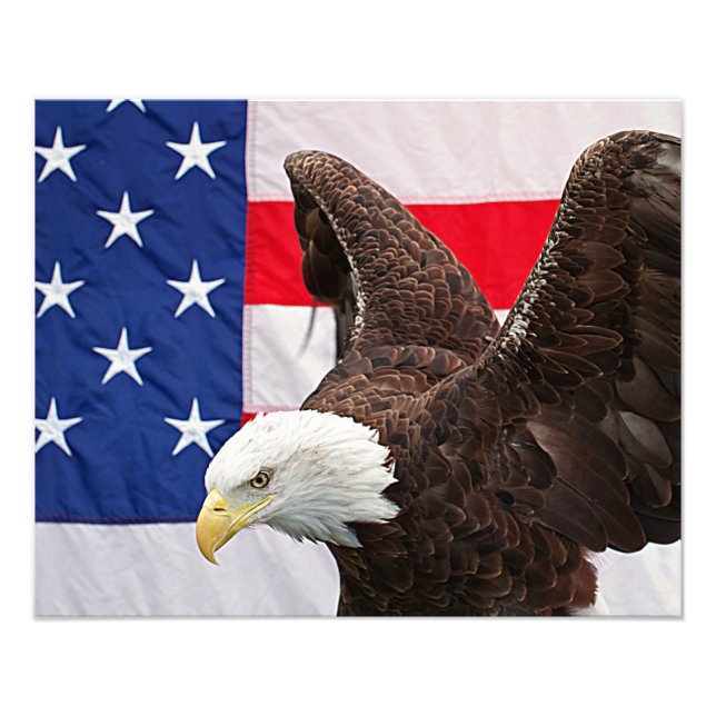 Impression Photo Bald Eagle avec le drapeau américain (Devant)