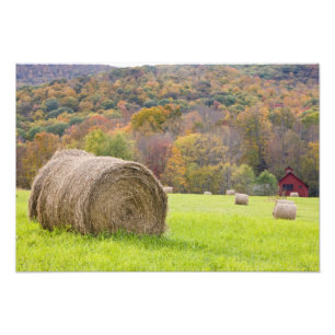 Impression Photo Balles de foin et feuillage d'automne à la ferme,