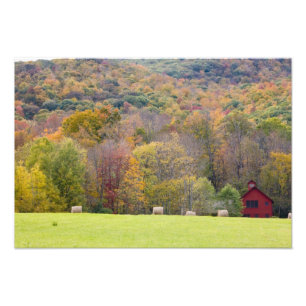 Impression Photo Balles de foin et feuillage d'automne, dans une fe