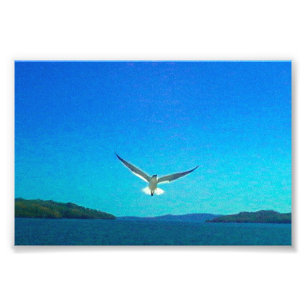 Impression Photo   Beau