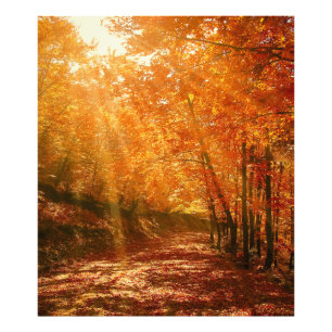Impression Photo Beau automne