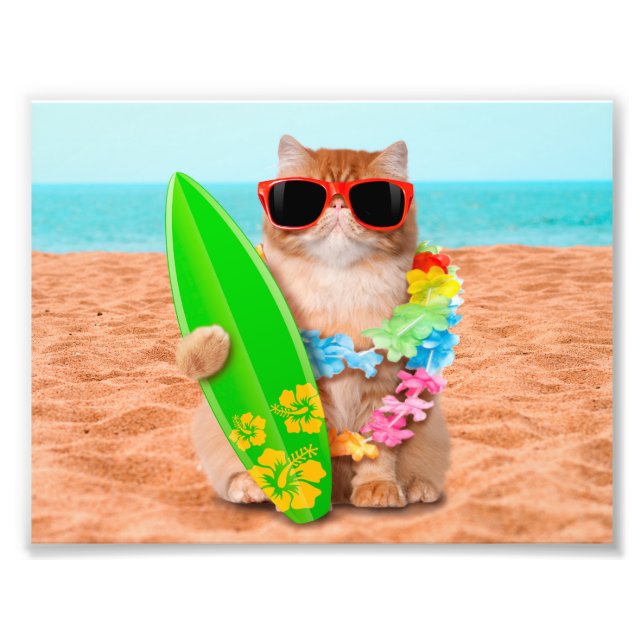 Impression Photo Beau chat surfeur sur la plage (Devant)