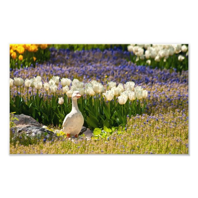 Impression Photo Beau Jardin (Devant)