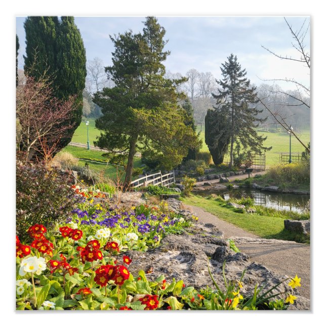 Impression Photo Beau matin de printemps (Devant)