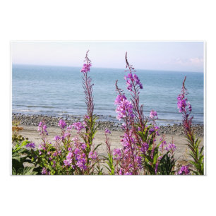 Impression Photo Beau paysage d'Alaska