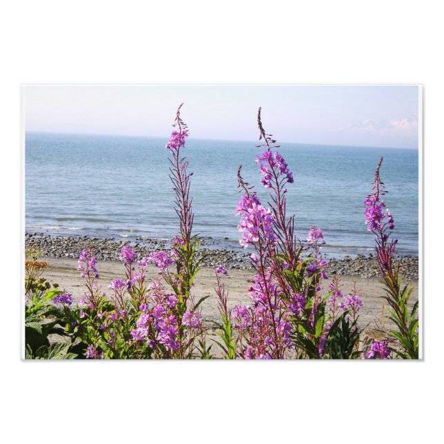 Impression Photo Beau Paysage de l'Alaska (Devant)