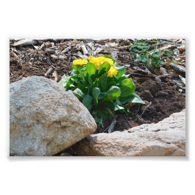 Impression Photo Beauté cachée (Devant)