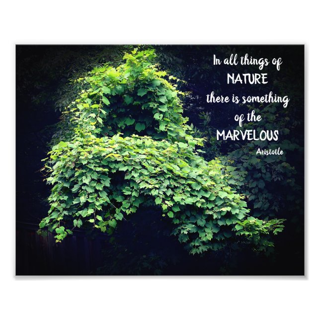 Impression Photo Beauté Dans La Nature Vines Citation Inspirationne (Devant)