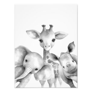 Impression Photo Bébé noir et blanc Safari Animaux Imprimer
