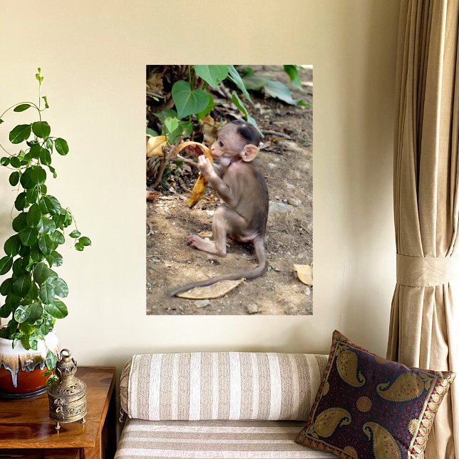 Impression Photo Bébé singe (Créateur téléchargé)