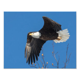 Impression Photo Belle Dame