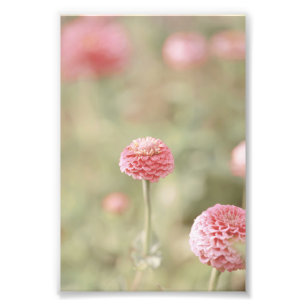 Impression Photo Belle florale Fleur Rose Clair