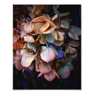 Impression Photo Belle Nature Flower Photography