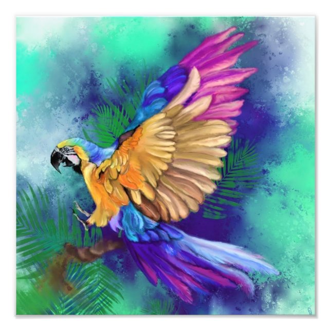 Impression Photo Belle peinture d'affiche couleur perroquet (Devant)
