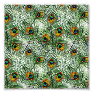 Impression Photo Belle plume verte de paon