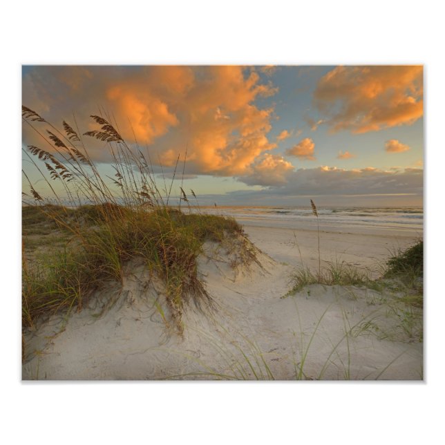 Impression Photo Belles dunes de sable à Daytona Beach, FL (Devant)