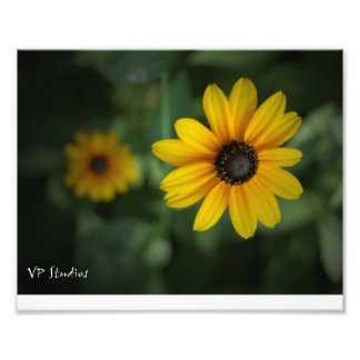 Impression Photo Belles fleurs jaunes !