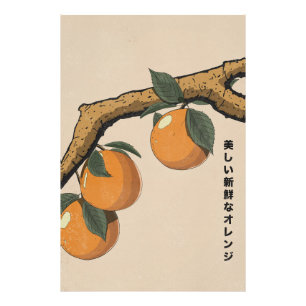 Impression Photo Belles oranges fraîches