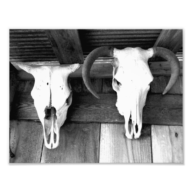 Impression Photo Bienvenue en Arkansas (Devant)