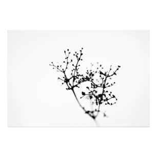 Impression Photo Biochimie De La Nature