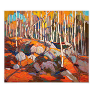 Impression Photo Birch Grove, automne   Tom Thomson  