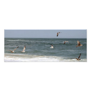 Impression Photo Birds in Flight by Shirley Taylor