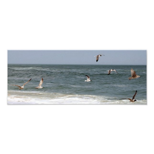Impression Photo Birds in Flight by Shirley Taylor (Devant)