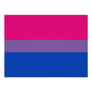 Impression Photo Bisexual pride