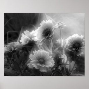 Impression photo blanche noire à fleurs