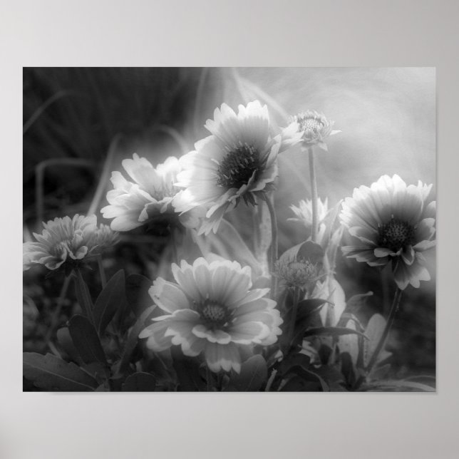 Impression photo blanche noire à fleurs (Devant)