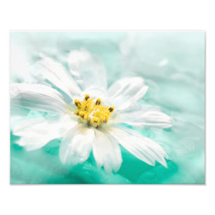 Impression Photo Blancs Fleur Bleu Aqua Aqua Turquoise