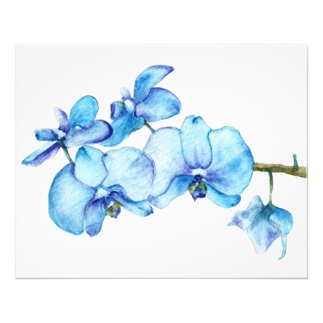 Impression Photo Bleu orchidée Botanique (Devant)