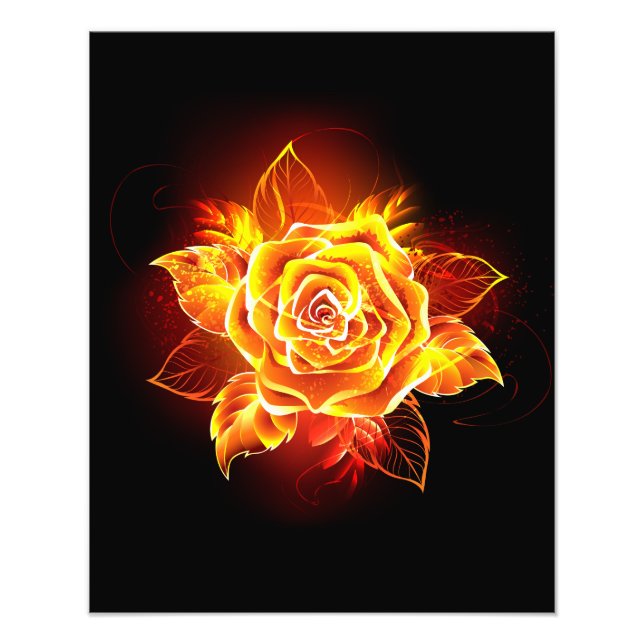 Impression Photo Blooming Fire Rose (Devant)
