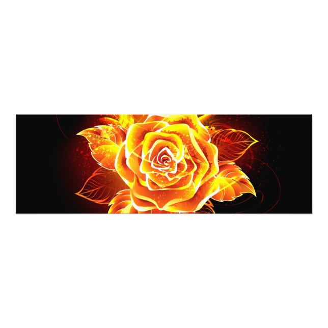 Impression Photo Blooming Fire Rose (Devant)