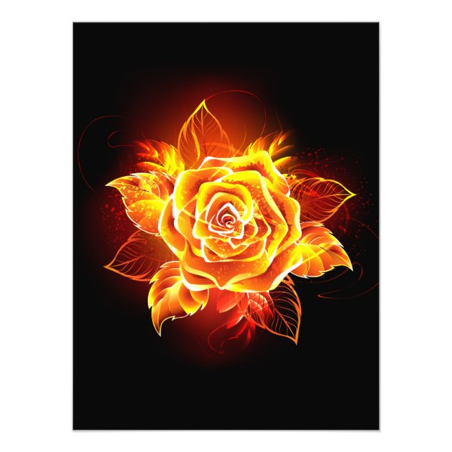 Impression Photo Blooming Fire Rose (Devant)