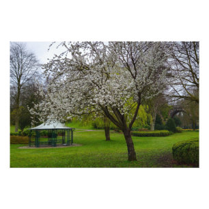 Impression Photo Blossom