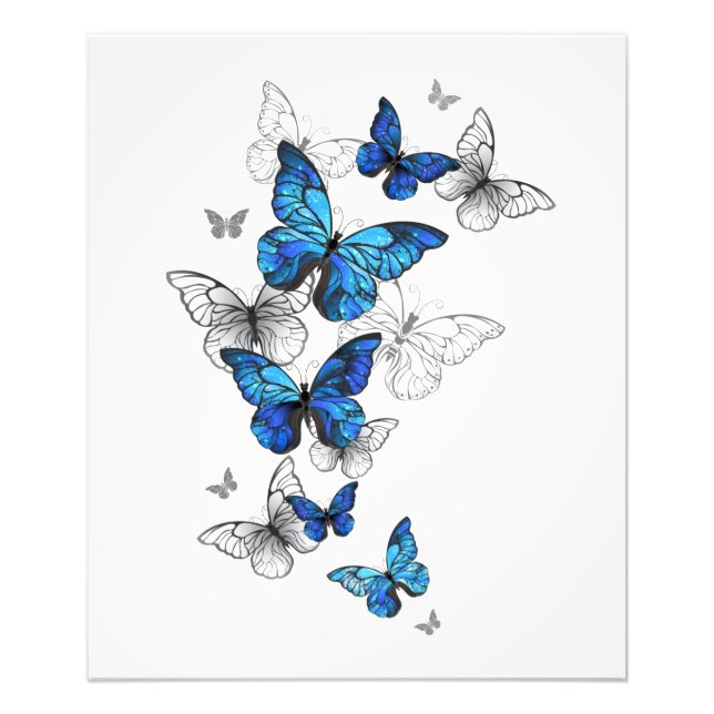 Impression Photo Blue Flying Butterflies Morpho (Devant)
