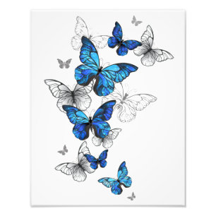 Impression Photo Blue Flying Butterflies Morpho