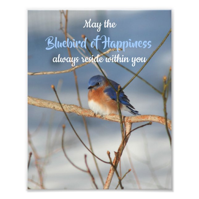 Impression Photo Bluebird Of Happiness Inspirational 8x10 (Devant)