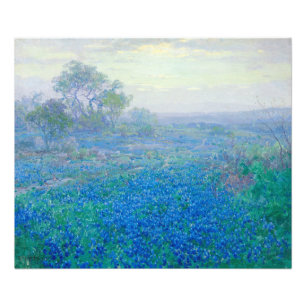 Impression Photo Bluebonnets près de San Antonio, Texas par Onderdo