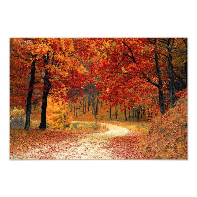 Impression Photo Bois d'automne (Devant)