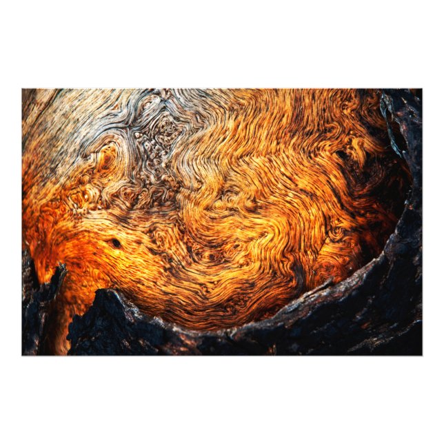 Impression Photo Bois de burl (Devant)
